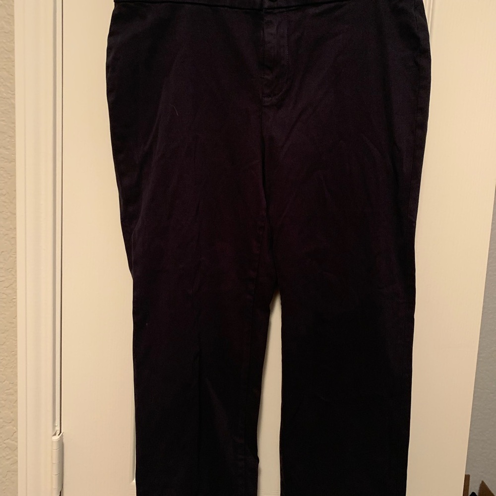 Lila Ryan Mavy Blue capris Size 8